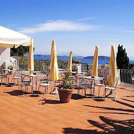 Hotel Don Pedro